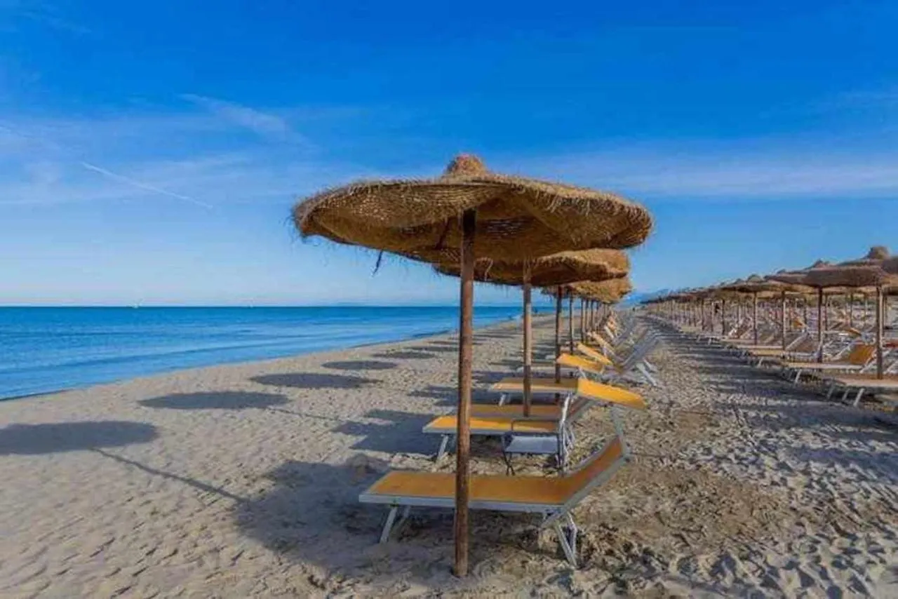 Tirrenia Appartamento Belvedere